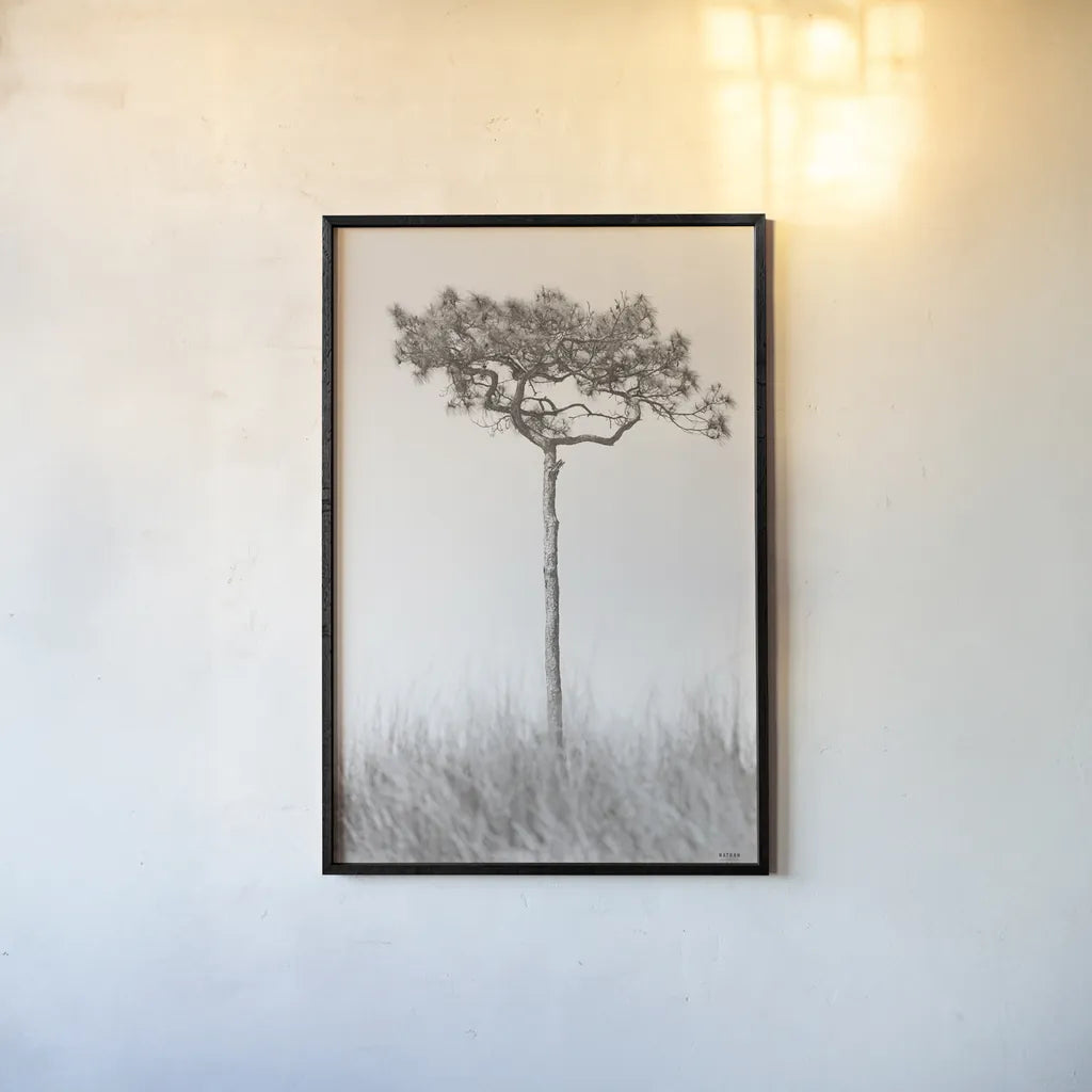 Secluded I by Nathan Larson. shown as a paper print in a black flame. Available as a archival giclee rolled canvas, fine art paper, or poster print. SKU 101663h.