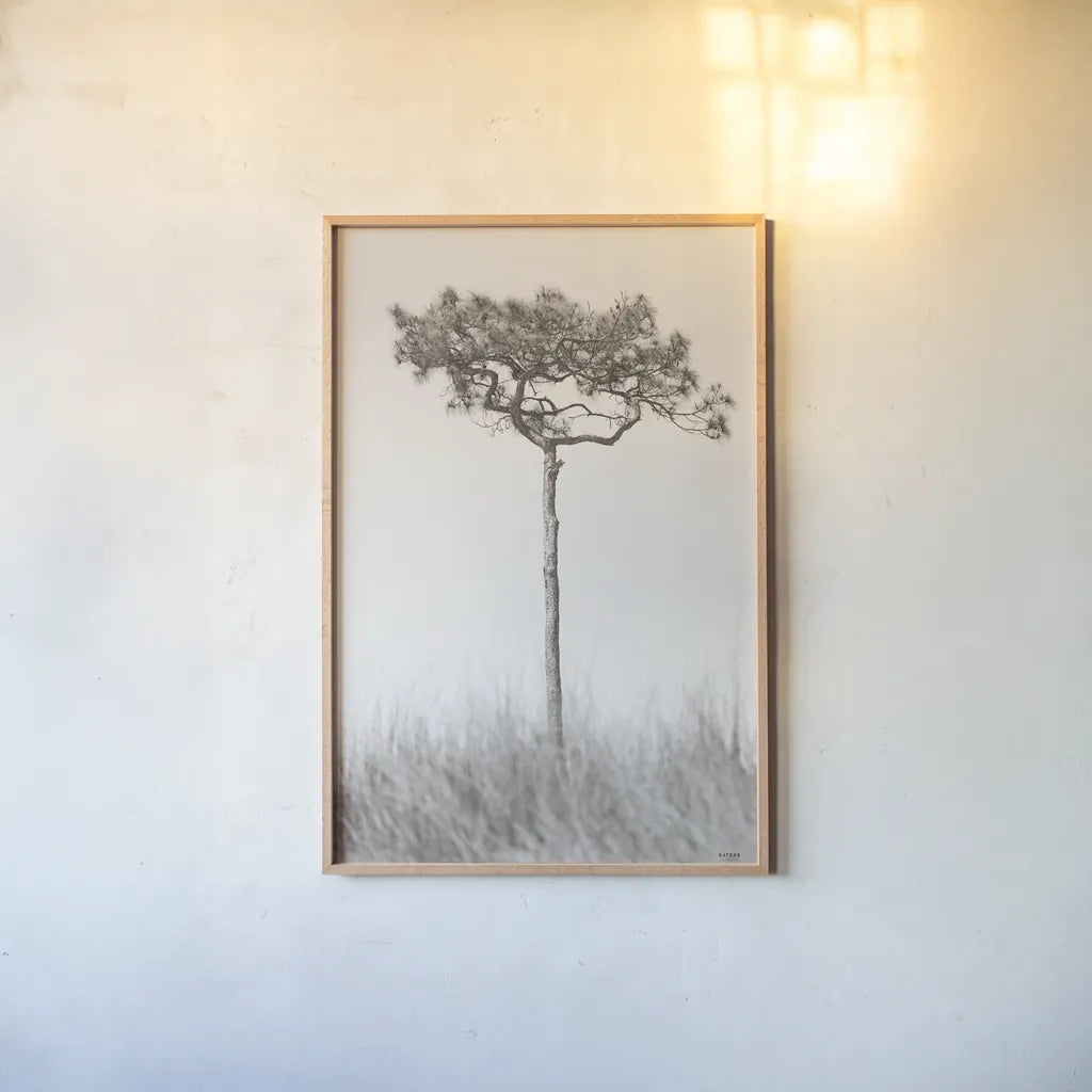 Secluded I by Nathan Larson. shown as a paper print in a natural frame. Available as a archival giclee rolled canvas, fine art paper, or poster print. SKU 101663h.