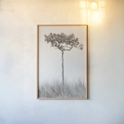 Secluded I by Nathan Larson. shown as a paper print in a natural frame. Available as a archival giclee rolled canvas, fine art paper, or poster print. SKU 101663h.