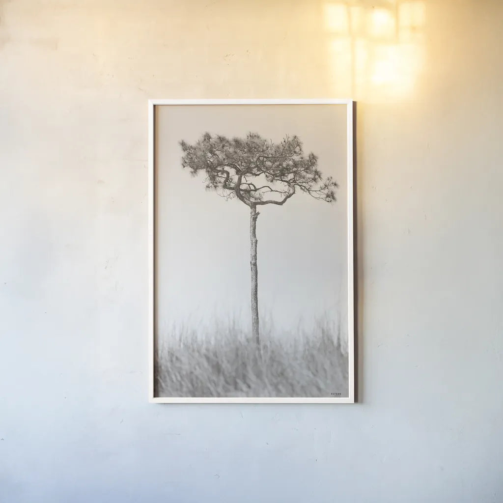 Secluded I by Nathan Larson. shown as a paper print in a white frame. Available as a archival giclee rolled canvas, fine art paper, or poster print. SKU 101663h.