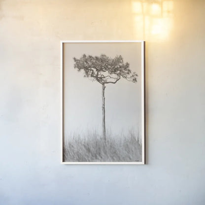 Secluded I by Nathan Larson. shown as a paper print in a white frame. Available as a archival giclee rolled canvas, fine art paper, or poster print. SKU 101663h.