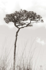 Secluded II by Nathan Larson. SKU 101664h. Archival Giclee Fine art print for wall decor.