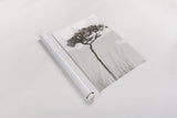 Secluded II by Nathan Larson. shown as a rolled paper print. Available as archival giclee rolled canvas, fine art paper, or poster print. SKU 101664h.