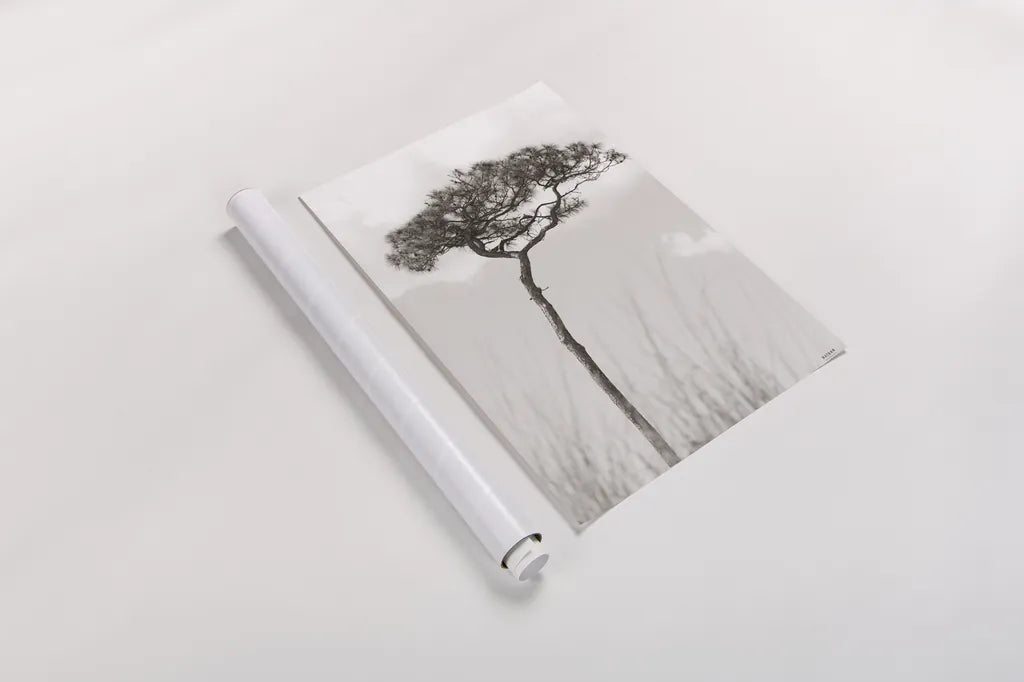 Secluded II by Nathan Larson. shown as a rolled paper print. Available as archival giclee rolled canvas, fine art paper, or poster print. SKU 101664h.