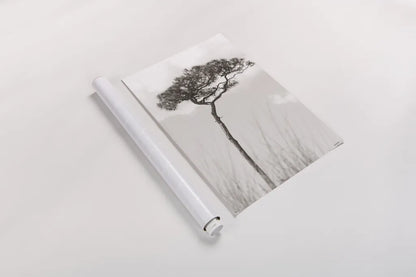 Secluded II by Nathan Larson. shown as a rolled paper print. Available as archival giclee rolled canvas, fine art paper, or poster print. SKU 101664h.