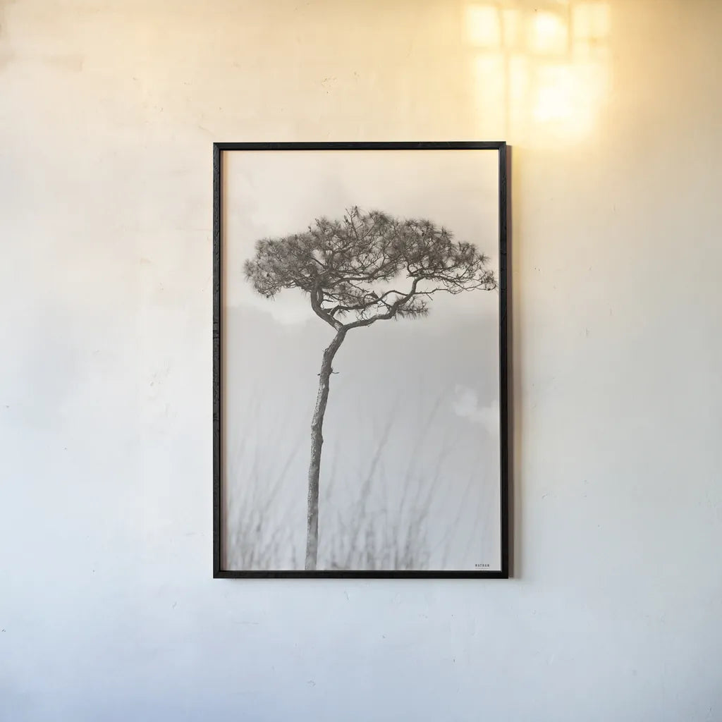 Secluded II by Nathan Larson. shown as a paper print in a black flame. Available as a archival giclee rolled canvas, fine art paper, or poster print. SKU 101664h.