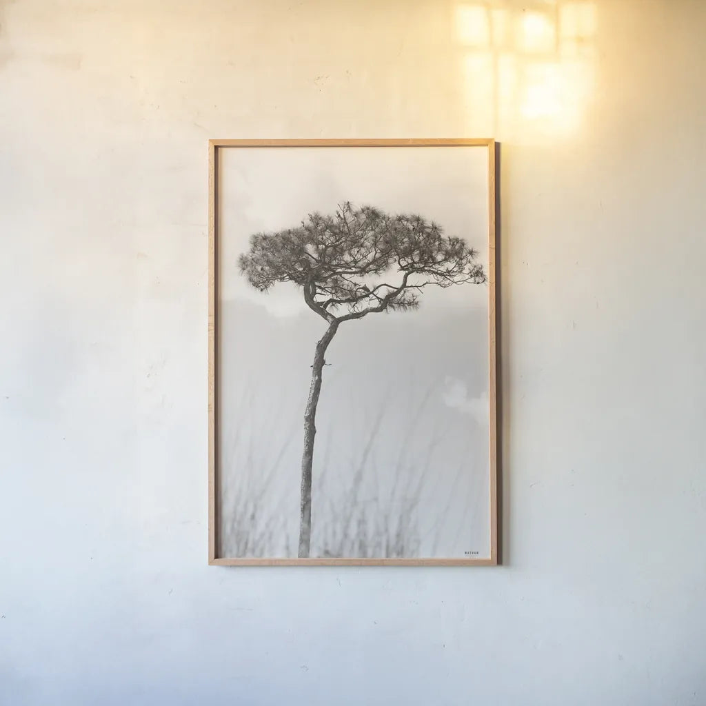 Secluded II by Nathan Larson. shown as a paper print in a natural frame. Available as a archival giclee rolled canvas, fine art paper, or poster print. SKU 101664h.