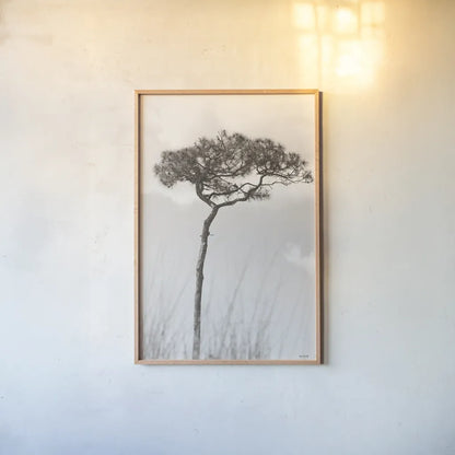 Secluded II by Nathan Larson. shown as a paper print in a natural frame. Available as a archival giclee rolled canvas, fine art paper, or poster print. SKU 101664h.