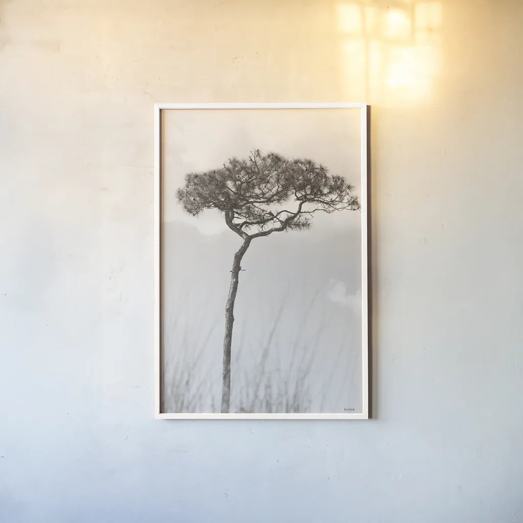 Secluded II by Nathan Larson. shown as a paper print in a white frame. Available as a archival giclee rolled canvas, fine art paper, or poster print. SKU 101664h.