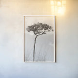 Secluded II by Nathan Larson. shown as a paper print in a white frame. Available as a archival giclee rolled canvas, fine art paper, or poster print. SKU 101664h.