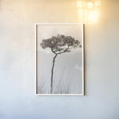 Secluded II by Nathan Larson. shown as a paper print in a white frame. Available as a archival giclee rolled canvas, fine art paper, or poster print. SKU 101664h.