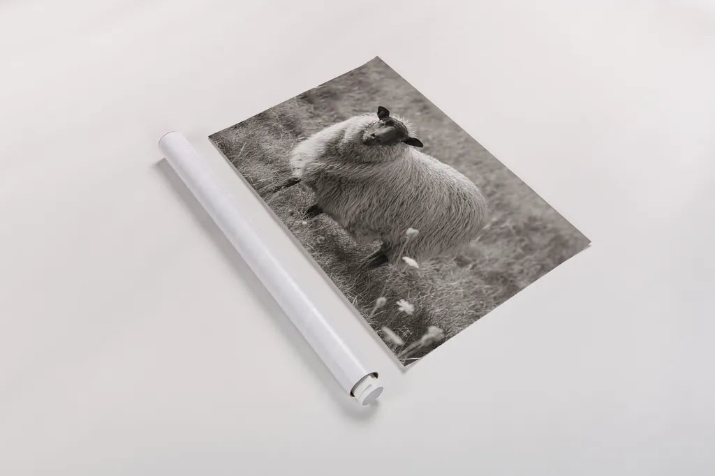 Sepia Sheep by Nathan Larson. shown as a rolled paper print. Available as archival giclee rolled canvas, fine art paper, or poster print. SKU 79107i.