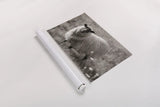 Sepia Sheep by Nathan Larson. shown as a rolled paper print. Available as archival giclee rolled canvas, fine art paper, or poster print. SKU 79107i.