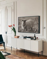 Sepia Sheep by Nathan Larson. shown as a framed stretched canvas in a living room above a console. Available as a archival giclee rolled canvas, fine art paper, or poster print. SKU 79107i.