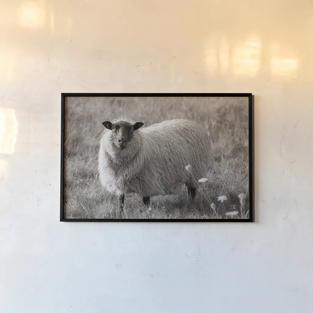 Sepia Sheep by Nathan Larson. shown as a paper print in a black flame. Available as a archival giclee rolled canvas, fine art paper, or poster print. SKU 79107i.