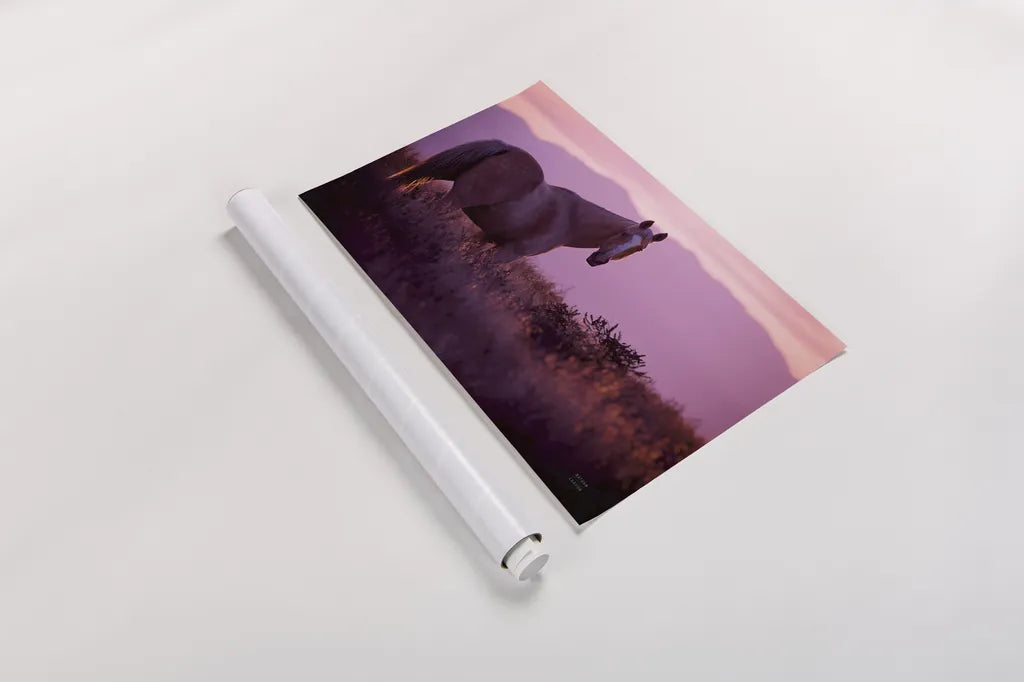 Sharing a Sunset by Nathan Larson. shown as a rolled paper print. Available as archival giclee rolled canvas, fine art paper, or poster print. SKU 94127i.