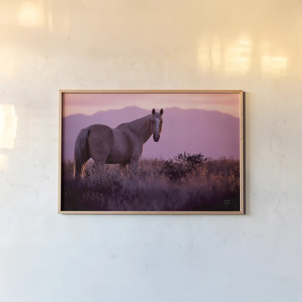Sharing a Sunset by Nathan Larson. shown as a paper print in a natural frame. Available as a archival giclee rolled canvas, fine art paper, or poster print. SKU 94127i.