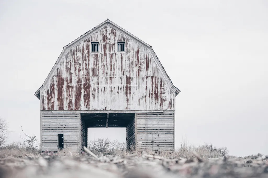 Sitting Still by Nathan Larson. SKU 98508i. Archival Giclee Fine art print for wall decor.