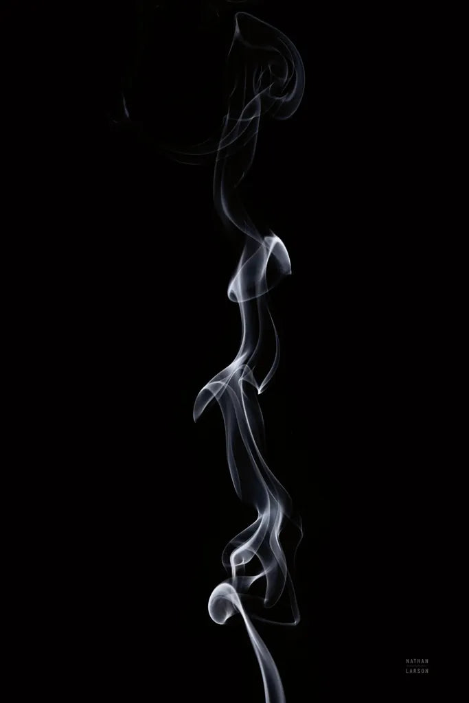 Smoke III by Nathan Larson. SKU 77337h. Archival Giclee Fine art print for wall decor.