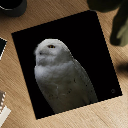 Snowy Owl Looks to the Sun by Nathan Larson. Shown as a detailed flat fine art print, highlighting archival giclee quality. Available as an archival giclee rolled canvas, fine art paper, or poster print. SKU 70276a.