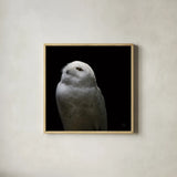 Snowy Owl Looks to the Sun by Nathan Larson. Shown in a natural wood glass frame for a timeless modern aesthetic. Available as an archival giclee rolled canvas, fine art paper, or poster print. SKU 70276a.