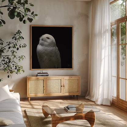 Snowy Owl Looks to the Sun by Nathan Larson. Shown in a natural wood frame in a cozy modern living room. Available as an archival giclee rolled canvas, fine art paper, or poster print. SKU 70276a.