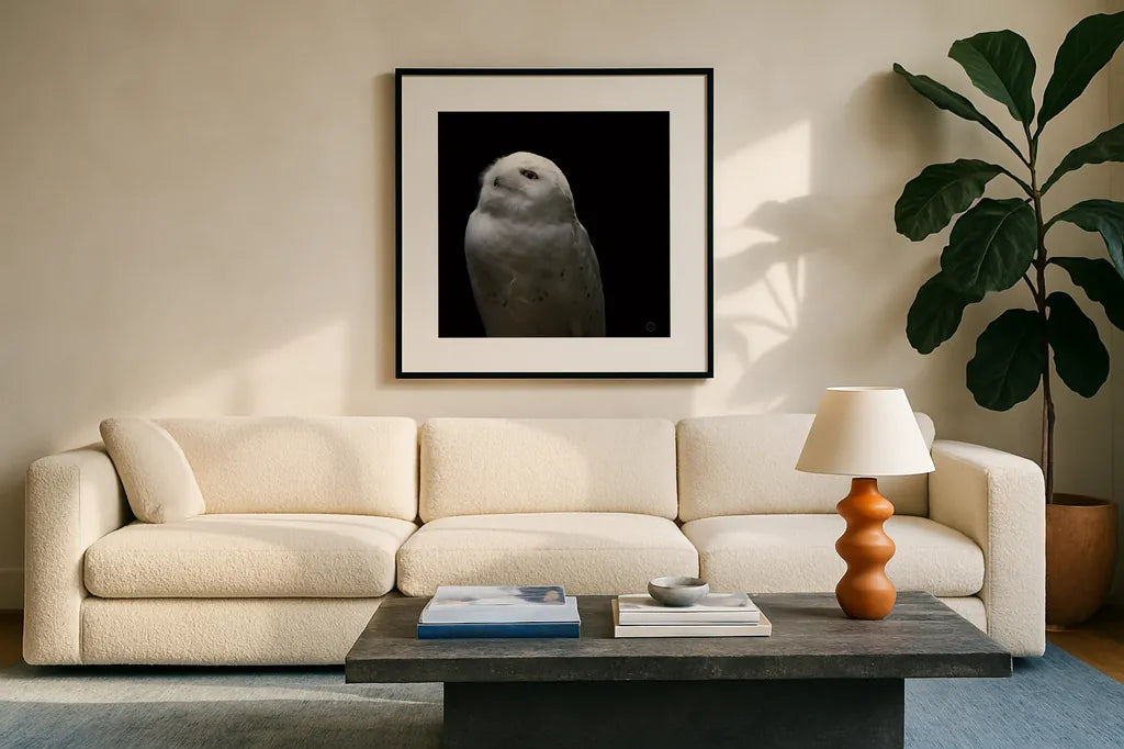 Snowy Owl Looks to the Sun by Nathan Larson. Displayed in a glass frame with matte in a clean modern living room. Available as an archival giclee rolled canvas, fine art paper, or poster print. SKU 70276a.