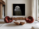 Snowy Owl Looks to the Sun by Nathan Larson. Shown as extra-large giant wall art in a modern living room. Available as an archival giclee rolled canvas, fine art paper, or poster print. SKU 70276a.