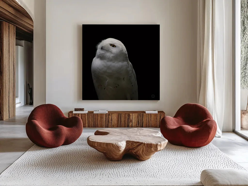 Snowy Owl Looks to the Sun by Nathan Larson. Shown as extra-large giant wall art in a modern living room. Available as an archival giclee rolled canvas, fine art paper, or poster print. SKU 70276a.
