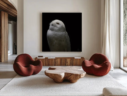 Snowy Owl Looks to the Sun by Nathan Larson. Shown as extra-large giant wall art in a modern living room. Available as an archival giclee rolled canvas, fine art paper, or poster print. SKU 70276a.