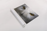 Snowy Owl Stare by Nathan Larson. shown as a rolled paper print. Available as archival giclee rolled canvas, fine art paper, or poster print. SKU 75479i.