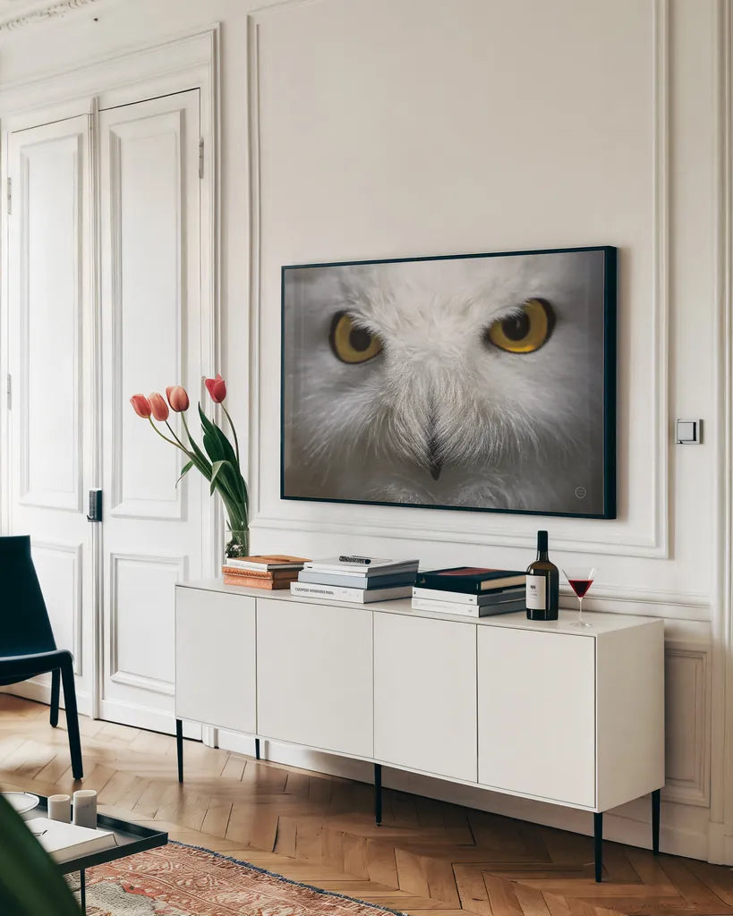 Snowy Owl Stare by Nathan Larson. shown as a framed stretched canvas in a living room above a console. Available as a archival giclee rolled canvas, fine art paper, or poster print. SKU 75479i.