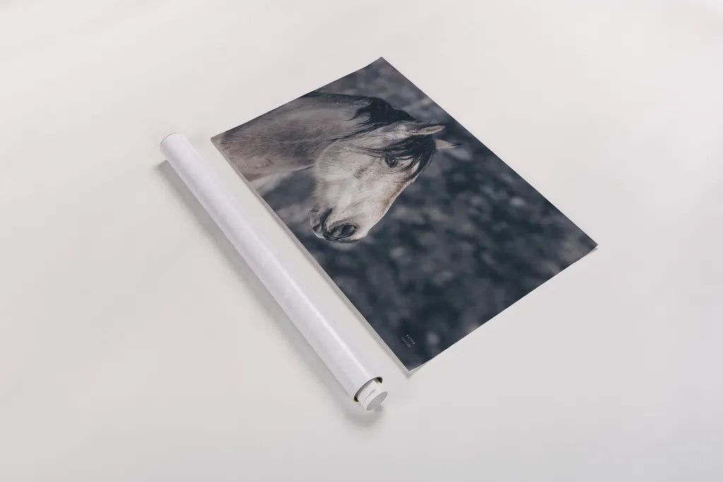 Snowy Range by Nathan Larson. shown as a rolled paper print. Available as archival giclee rolled canvas, fine art paper, or poster print. SKU 84267i.