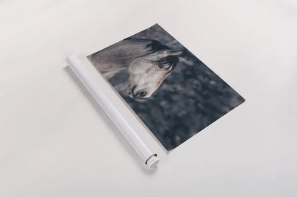 Snowy Range by Nathan Larson. shown as a rolled paper print. Available as archival giclee rolled canvas, fine art paper, or poster print. SKU 84267i.