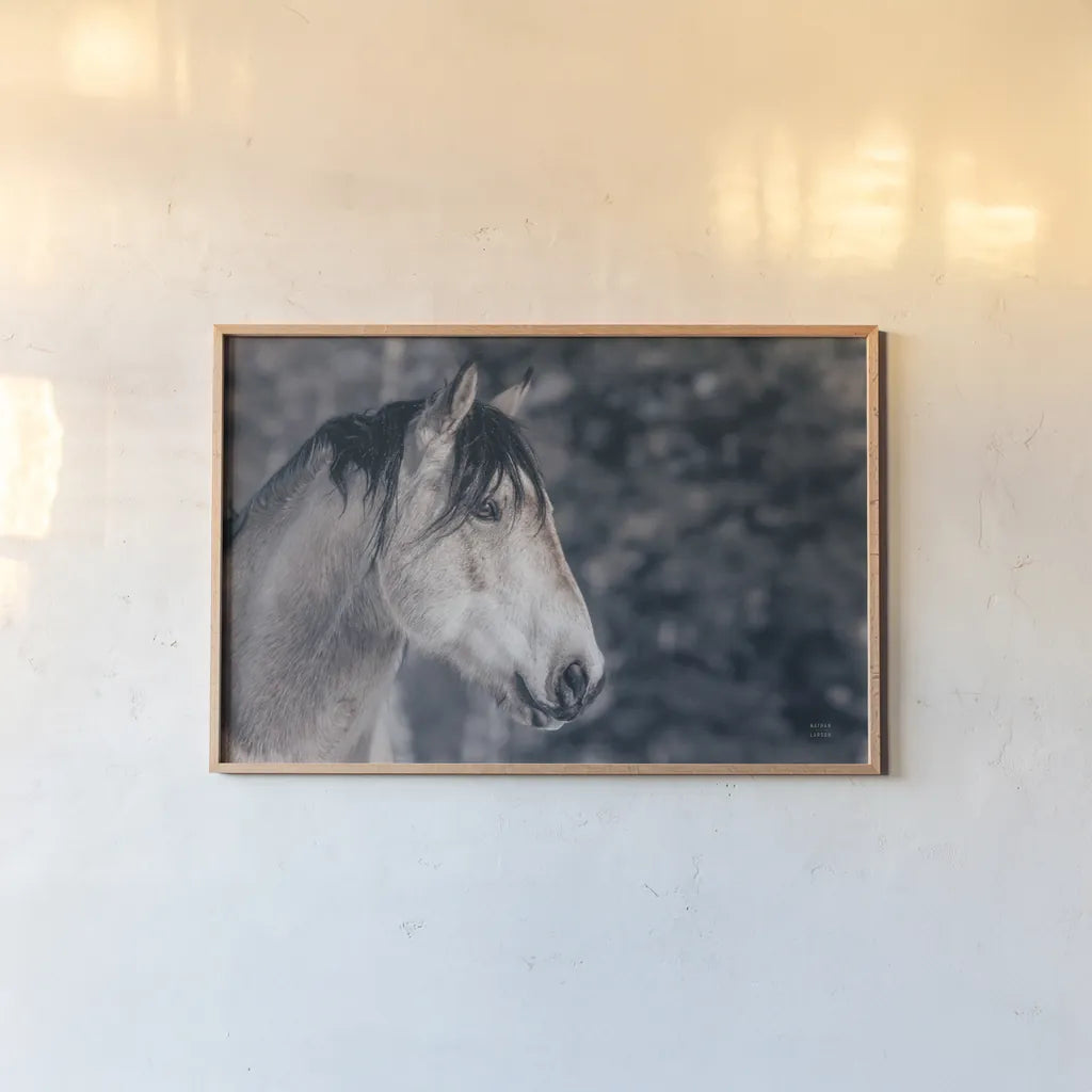 Snowy Range by Nathan Larson. shown as a paper print in a natural frame. Available as a archival giclee rolled canvas, fine art paper, or poster print. SKU 84267i.