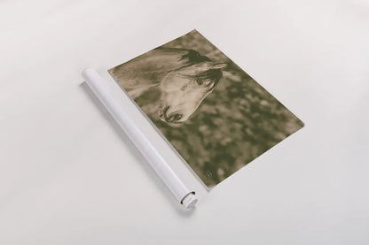 Snowy Range Antique by Nathan Larson. shown as a rolled paper print. Available as archival giclee rolled canvas, fine art paper, or poster print. SKU 84270i.