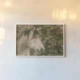 Snowy Range Antique by Nathan Larson. shown as a paper print in a white frame. Available as a archival giclee rolled canvas, fine art paper, or poster print. SKU 84270i.