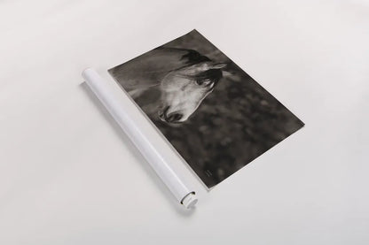 Snowy Range BW by Nathan Larson. shown as a rolled paper print. Available as archival giclee rolled canvas, fine art paper, or poster print. SKU 84268i.