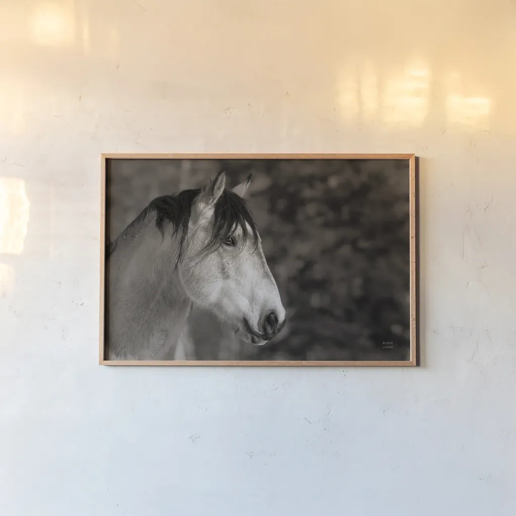 Snowy Range BW by Nathan Larson. shown as a paper print in a natural frame. Available as a archival giclee rolled canvas, fine art paper, or poster print. SKU 84268i.