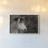 Snowy Range BW by Nathan Larson. shown as a paper print in a white frame. Available as a archival giclee rolled canvas, fine art paper, or poster print. SKU 84268i.