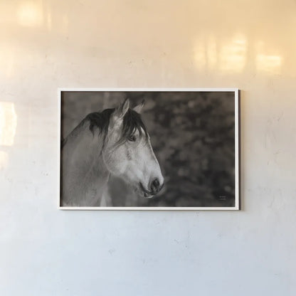 Snowy Range BW by Nathan Larson. shown as a paper print in a white frame. Available as a archival giclee rolled canvas, fine art paper, or poster print. SKU 84268i.