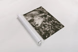 Snowy Range Sepia by Nathan Larson. shown as a rolled paper print. Available as archival giclee rolled canvas, fine art paper, or poster print. SKU 84269i.