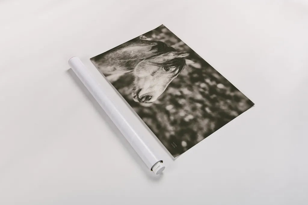 Snowy Range Sepia by Nathan Larson. shown as a rolled paper print. Available as archival giclee rolled canvas, fine art paper, or poster print. SKU 84269i.