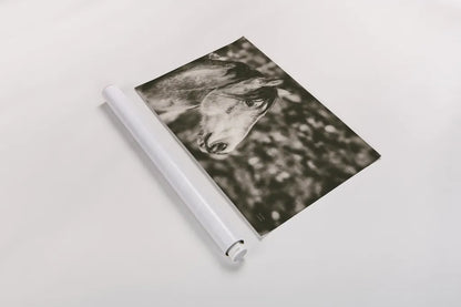 Snowy Range Sepia by Nathan Larson. shown as a rolled paper print. Available as archival giclee rolled canvas, fine art paper, or poster print. SKU 84269i.