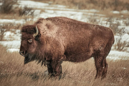 Solitary by Nathan Larson. SKU 84314i. Archival Giclee Fine art print for wall decor.