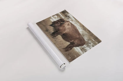 Solitary by Nathan Larson. shown as a rolled paper print. Available as archival giclee rolled canvas, fine art paper, or poster print. SKU 84314i.