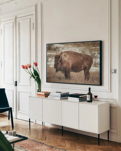 Solitary by Nathan Larson. shown as a framed stretched canvas in a living room above a console. Available as a archival giclee rolled canvas, fine art paper, or poster print. SKU 84314i.