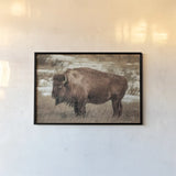 Solitary by Nathan Larson. shown as a paper print in a black flame. Available as a archival giclee rolled canvas, fine art paper, or poster print. SKU 84314i.