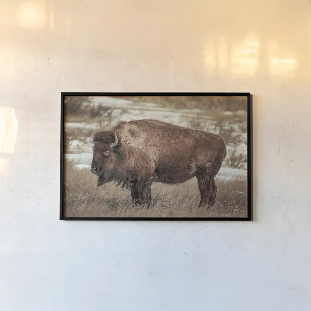 Solitary by Nathan Larson. shown as a paper print in a black flame. Available as a archival giclee rolled canvas, fine art paper, or poster print. SKU 84314i.