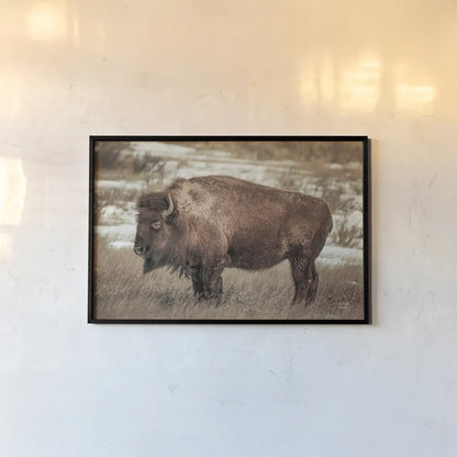 Solitary by Nathan Larson. shown as a paper print in a black flame. Available as a archival giclee rolled canvas, fine art paper, or poster print. SKU 84314i.